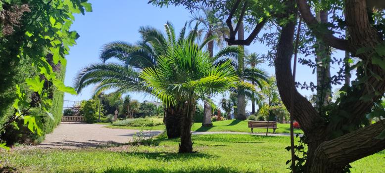 Jardins du Régina Palace, Cimiez