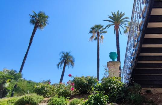 Jardins du Régina Palace