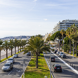 Double alignement de palmiers sur la Promenade des Anglais