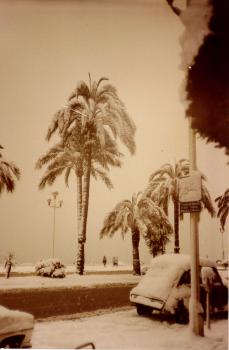 Janvier 1985  (hauteur Gambetta)