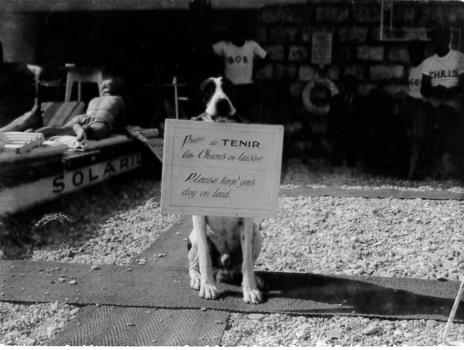 Ruhl Plage - Please keep your dog on lead !