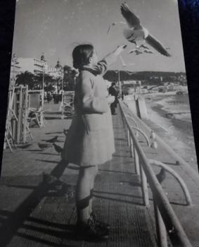 Michèle nourrit les mouettes