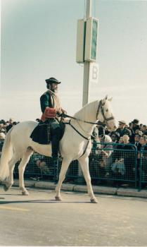 Bataille de fleurs - un beau cavalier