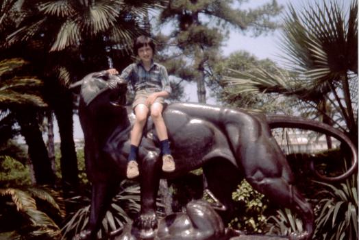 Le safari de Thierry