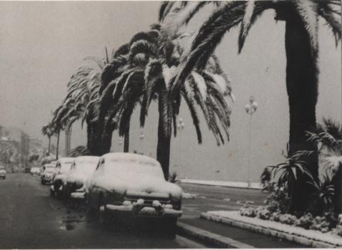1956 Fevrier - la Promenade sous la neige 2
