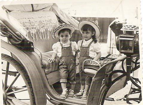 La promenade en calèche